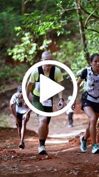 BIB:  <button type="button" onclick="openModal(27331373)" class="btn btn-primary btn-sm float-right" data-toggle="modal" data-target=".modal-high-quality">
                <i class="fa fa-download"></i> Download
                </button>